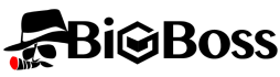 BigBoss logo